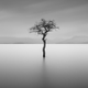 Photo by Gavin Dunbar